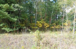 Parcel B 109th Avenue, Pullman, MI 49450