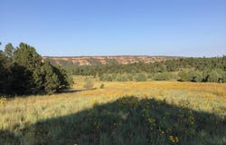 E Elk Drive lot: 14, Ramah, NM 87321