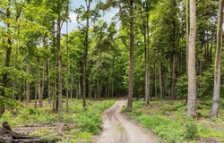 00 Woodland Trail, Traverse City, MI 49684