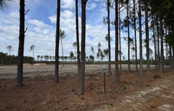 1421/Lot13 Cooks Bridge Road, Aiken, SC 29805