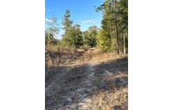 00 James Luther Rd, Ponce De Leon, FL 32455