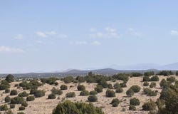 Lot 173 Campfire Rd, Magdalena, NM 87825