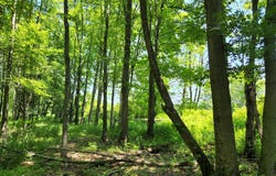 OLD DURHAM RD, PIPERSVILLE, PA 18947