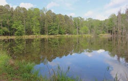 1150 S Stacy Springs, Quitman, AR 72131