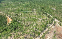 6 Acre Crown Zellerback Rd., Lumberton, MS 39455