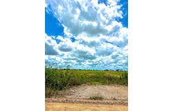 TBD Tract 4 Beal Rd, Eagle Lake, TX 77434
