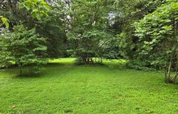 10709 SCOTT DRIVE, FAIRFAX, VA 22030