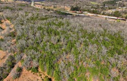 Mm Highway lot: 1, Gainesville, MO 65655
