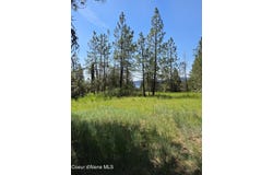 2252 E Badger Rd, Harrison, ID 83833