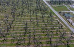0 US Highway 19, Leesburg, GA 31763