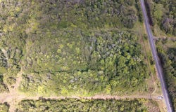 GLENWOOD RD, Volcano, HI 96785