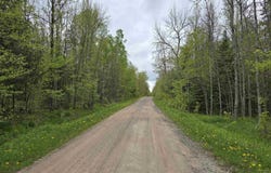 Lot 37 Yellow, Nisula, MI 49952