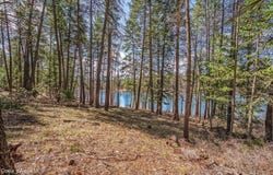 Nna Hanaford (Lot 11) Rd., Blanchard, ID 83804