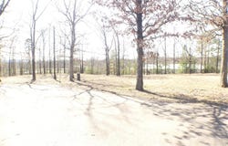 TBD (Lot 4) Brandon Drive, Mena, AR 71953