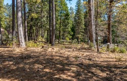 Emigrant Trail lot: 1, Shingletown, CA 96088