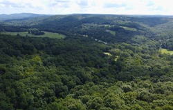 Pine Haven Drive, Winslow, AR 72959