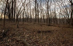705 NE Noeleen Lane, Lee's Summit, MO 64086
