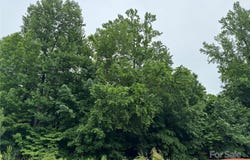 1935 Weddington Road, Matthews, NC 28105