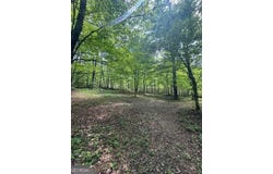 0 Castleberry, Lafayette, GA 30728