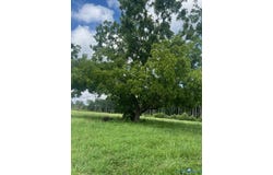 7000 Dennisville Road, Amelia Courthouse, VA 23002