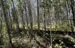 6190 Diamond Dell Circle, Kamas, UT 84036