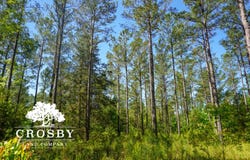 0 CCC Road, Troy, SC 29848