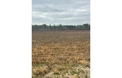 Franks Road, Fitzgerald, GA 31750