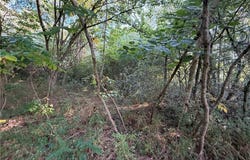 Blackberry Road lot: 4, Reedville, VA 22539