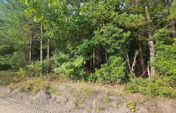 Tbd Roxborough, Elloree, SC 29047