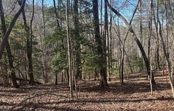 Lt10&11r Villa Drive, Ellijay, GA 30540