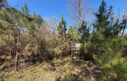 Pine Bluff, AR 71603
