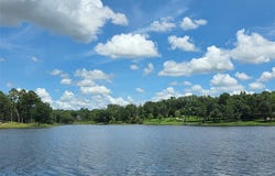 Lot 223 Safari Shores Drive, Larue, TX 75770