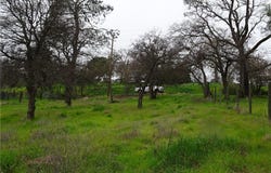 Long Bar, Oroville, CA 95966