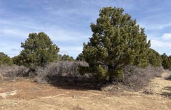 Lot 1 Road J.7, Egnar, CO 81325