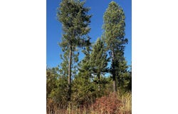 Tbd Old CC Rd, Addy, WA 99101