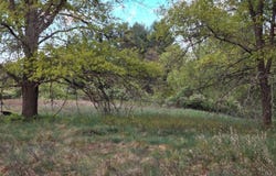 V/L cedar and 12th Street, Evart, MI 49631