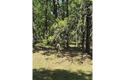 128 Colonial, Mabank, TX 75156