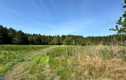 DOVER BRIDGE ROAD, PRESTON, MD 21655
