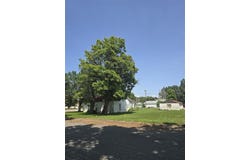 717 W C St, Basin, WY 82410