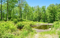 00 Mulligan Row, Westmoreland, NH 03467