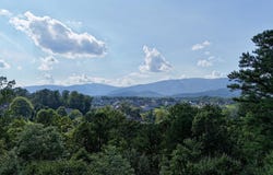 810 CARLYLE PL, CHARLOTTESVILLE, VA 22903
