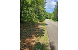 0 Harris Ridge Drive, Ellijay, GA 30540