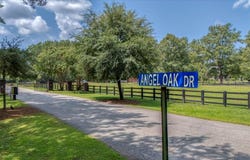 0 Angel Oak Drive, Bonneau, SC 29431