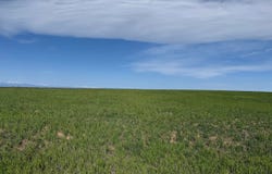 1 TBD FFD25-0005 LotA CO Road 15, Carr, CO 80612