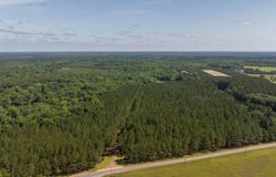 541 Hillbridge Road, Dublin, GA 31021