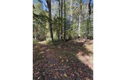 Orchard Hill RD, BEAVER, WV 25813