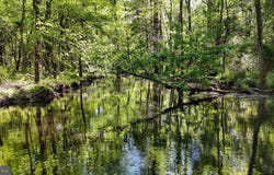 0 MEADOW BRIDGE ROAD, SNOW HILL, MD 21863