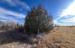 4952 County Rd H, Wiggins, CO 80654