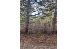 NNA Quiet Heights Rd, Athol, ID 83801