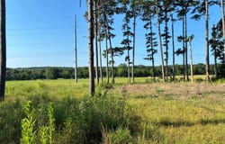 34163 Caston School Road, Wister, OK 74966